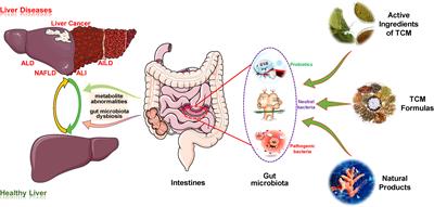 Targeted modulation of gut microbiota by traditional Chinese medicine and natural products for liver disease therapy